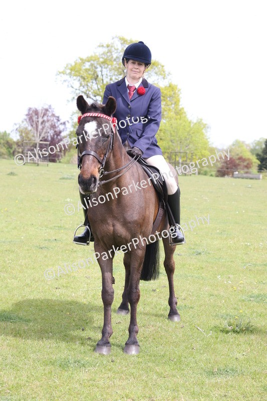 20260426-3023 - Class 33 - Best Pony 14.2hh and Under