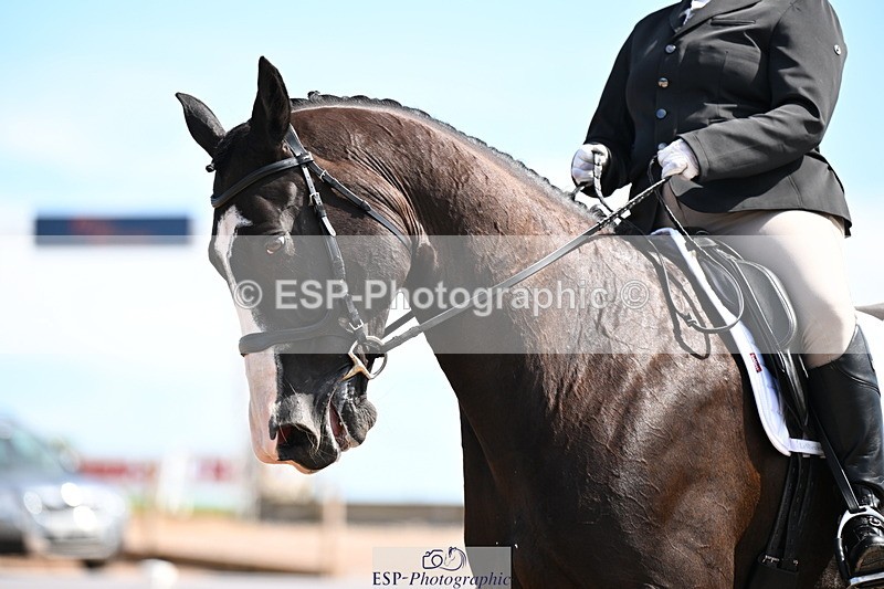 240816A-121822-04863 - 289-Rosey.Bradburn-High.Spirits.II