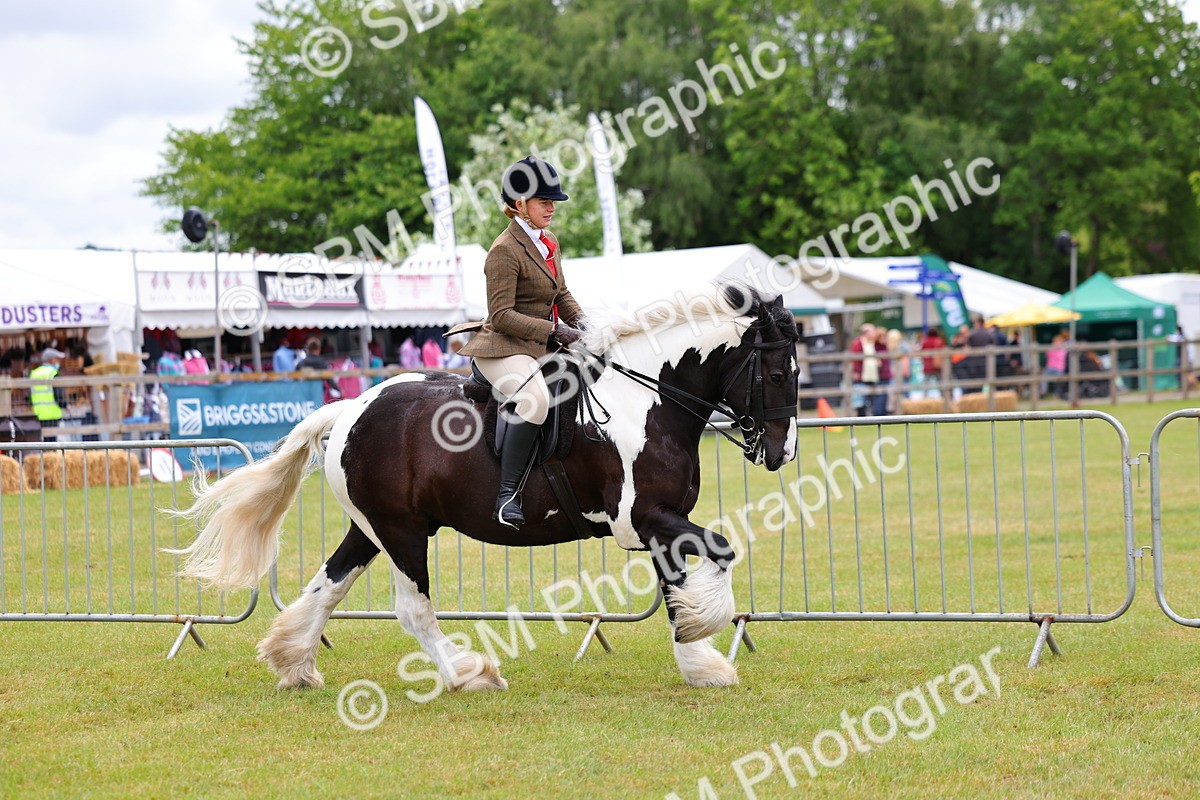 SBM_02622 - Class 9-11 Side Saddle including LIHS Rising Star Ladies Show Horse