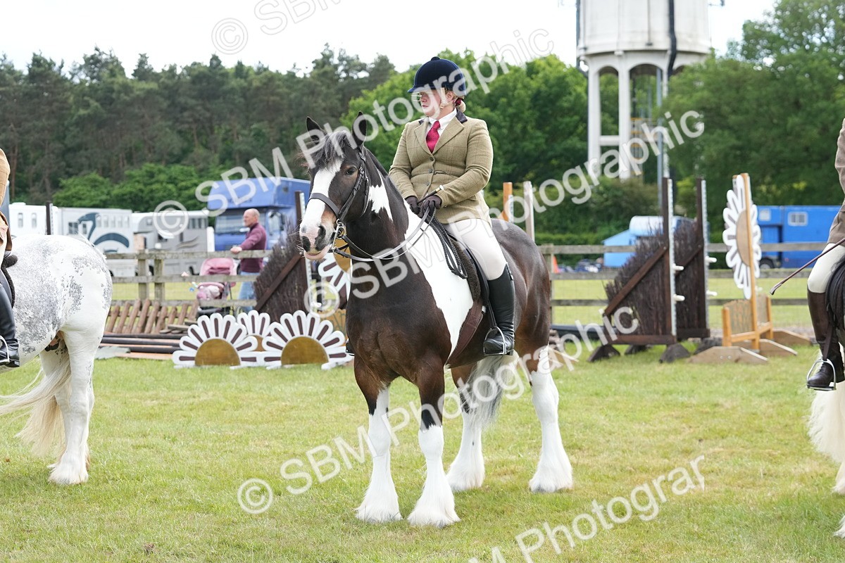 SBM_17315 - Class 107-108 - LIHS BSPS Performance Coloured Horse Pony