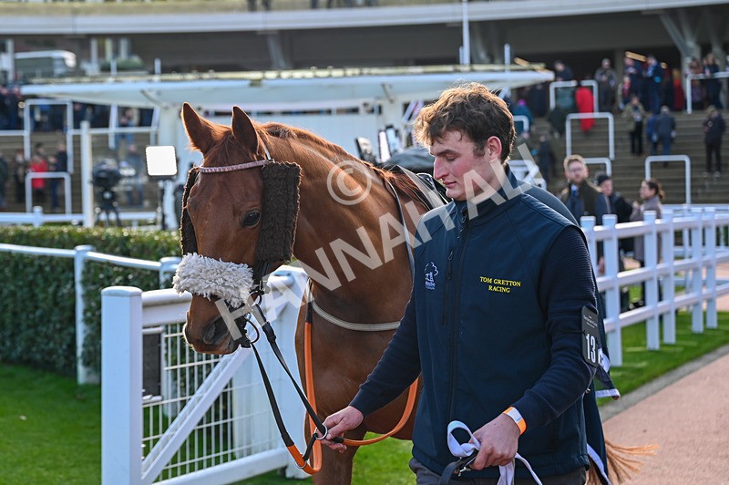 141224-Race 3-Getbazoutofhere-0575 - Race 3