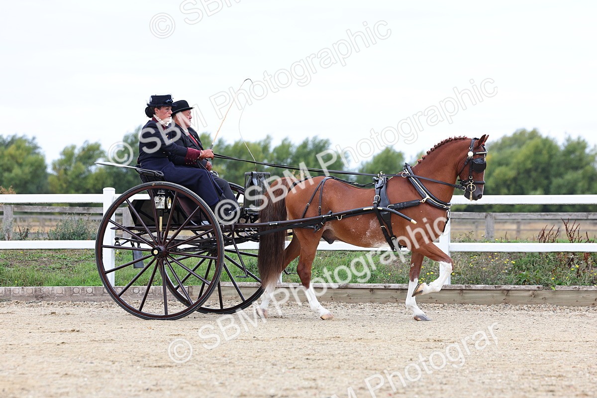 SBM_000352 - Class 4 - Junior Whip