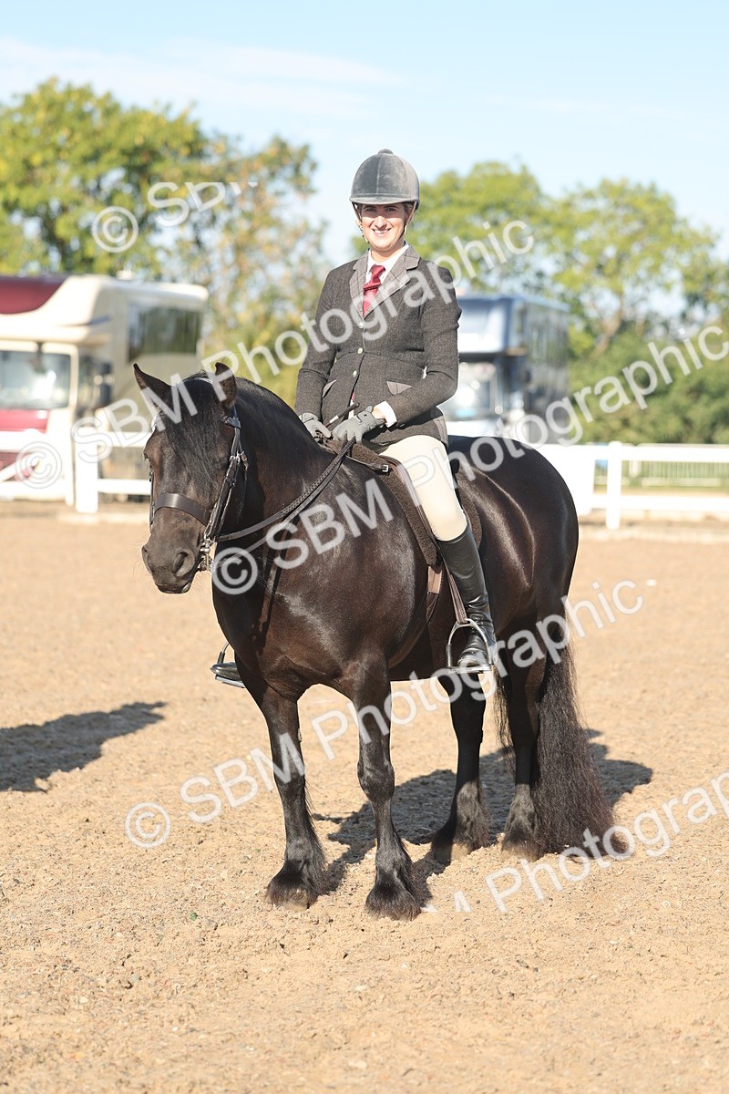 SBM_11071 - Class 302 - Ridden M&M Large Breeds