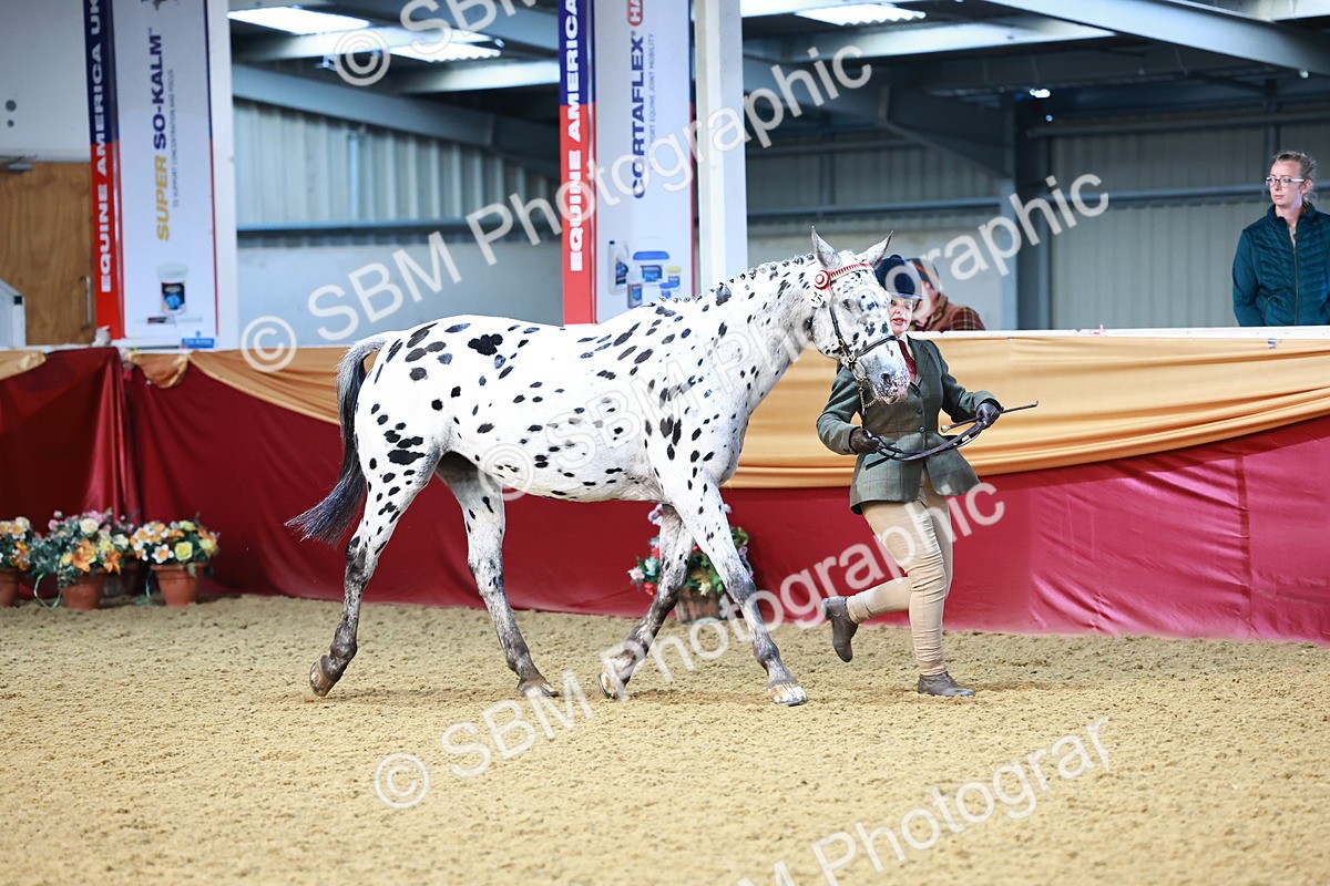 SBM_21756 - Class 901 - Supreme Final - IH  Diamond