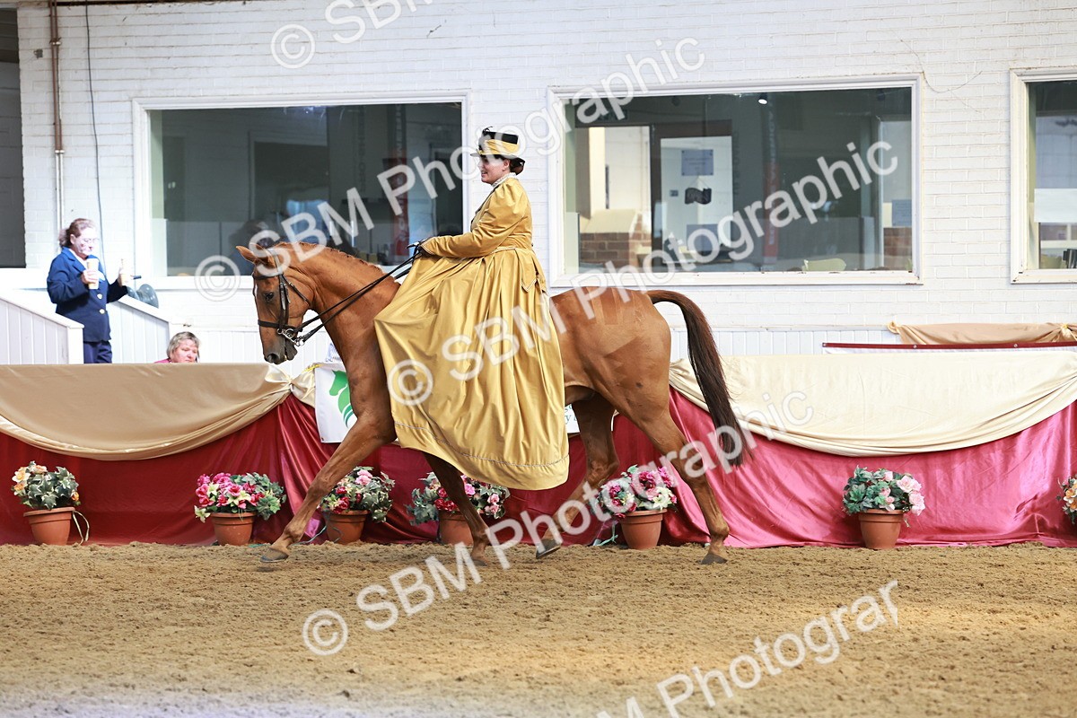 SBM_13554 - Class 105 - Ridden Costume - Side Saddle