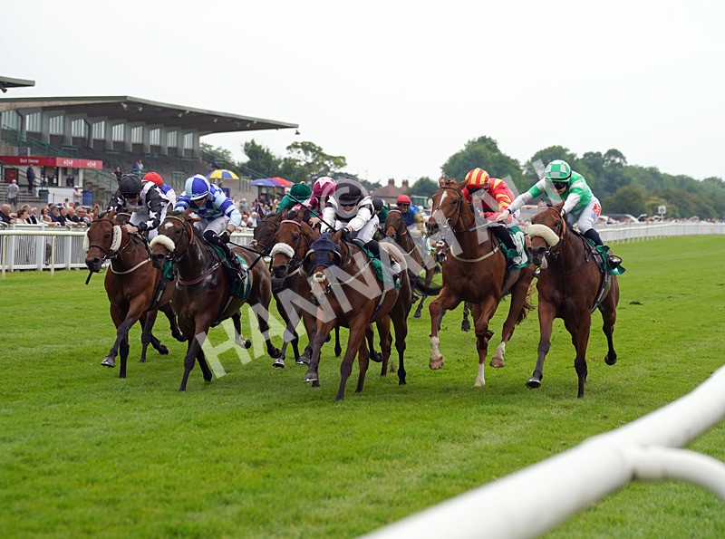 160626-Race 3-Vingegaard-2 - Race 3 15.25pm Theakston Brewing Legends Since 1827 Handicap