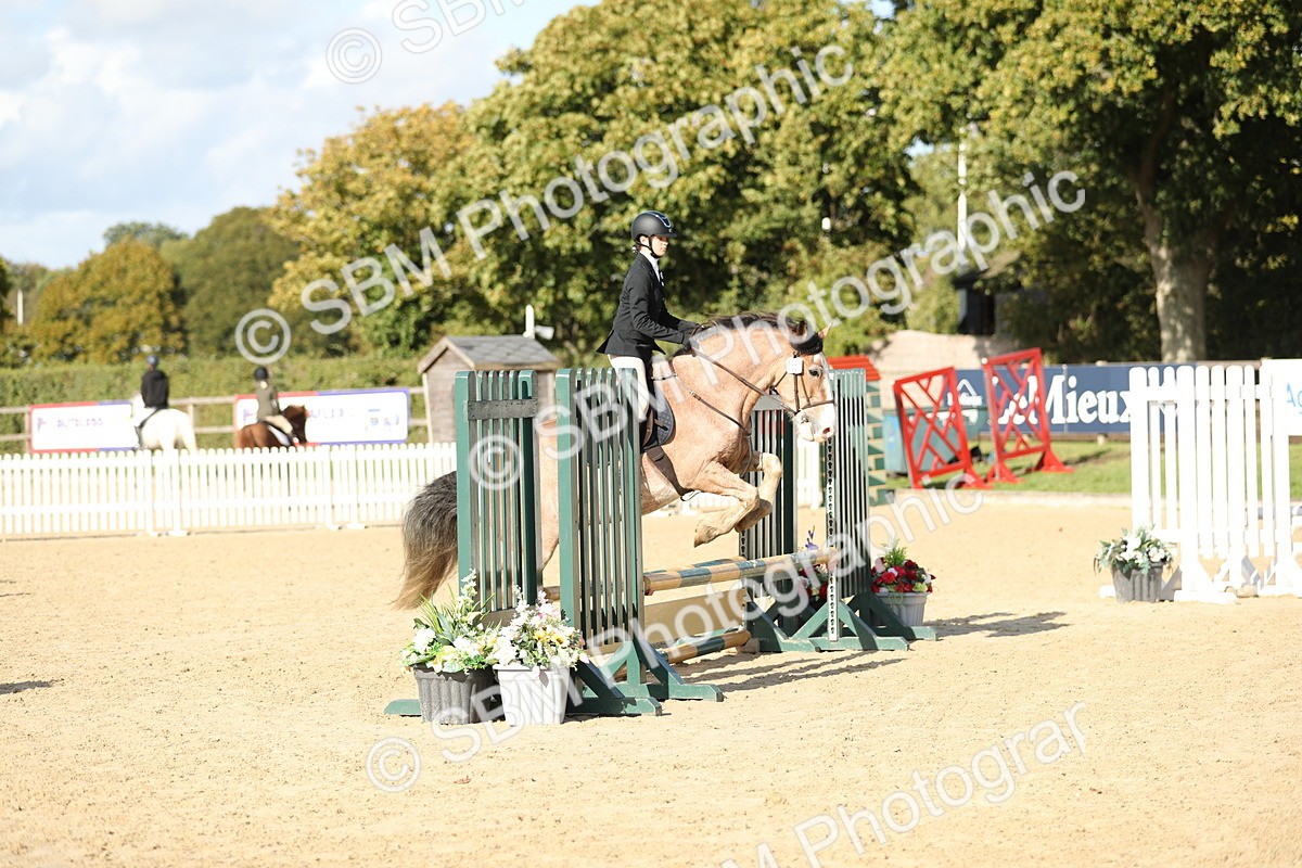 SBM_49582 - J22 - Junior Horse 65cm Championship
