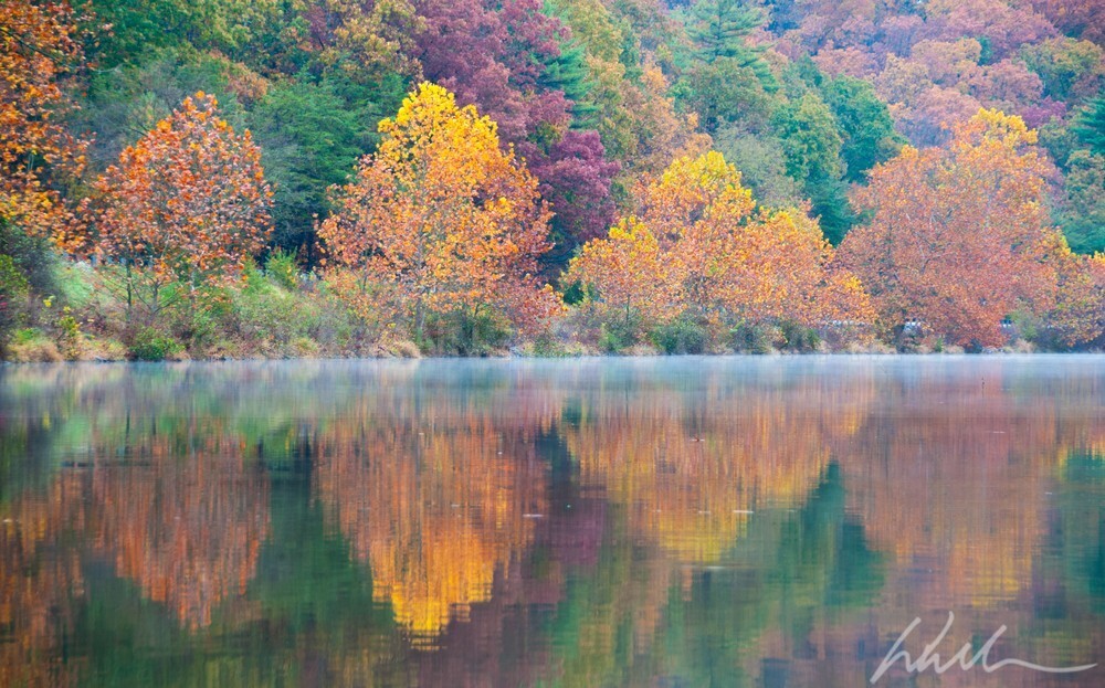 _WDB9762 - Autumn