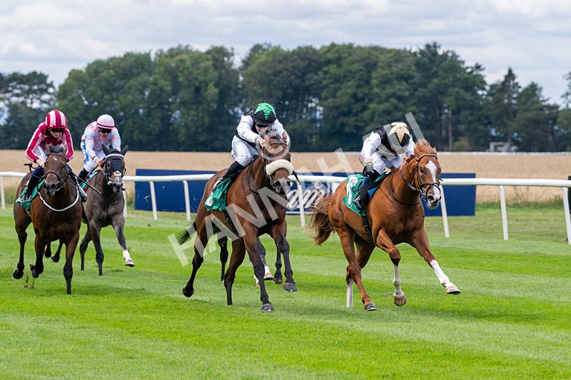 020825-Race 1-Rikki Tiki Tavi-2382 - Race 1