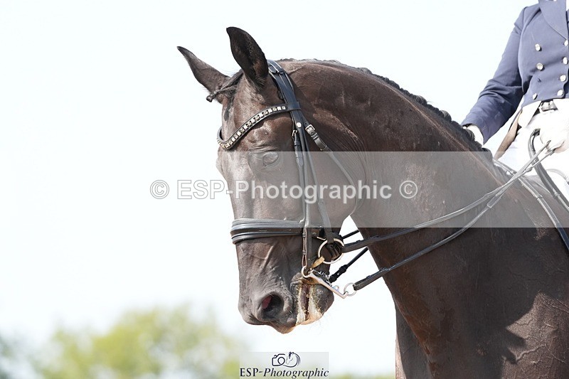 250815-151520-02000 - 017-elaine.scottFlorava