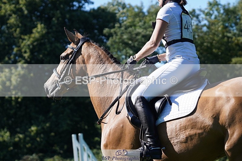 240811A-162036-06259 - 461-