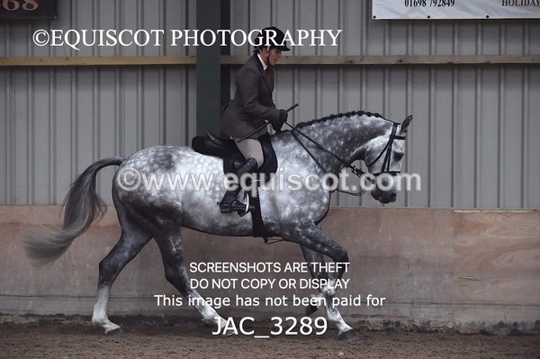 JAC_3289 - CLASS 8 BHS Scotland Riding Club Working Hunter Qualifier