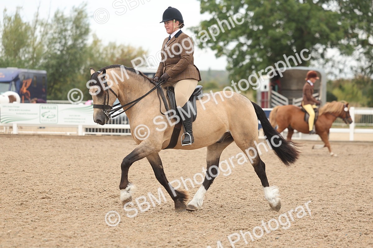 SBM_01898 - Class 14 - Ridden M&M Wildcard