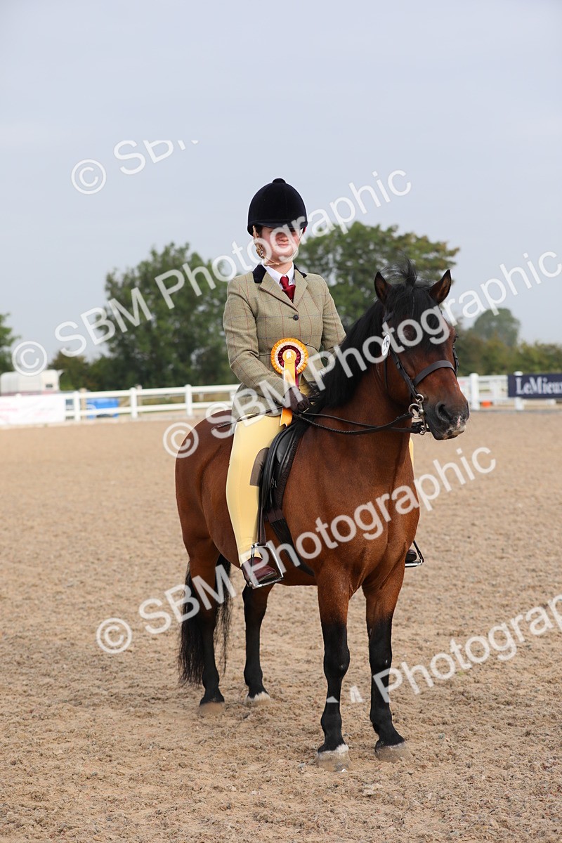 SBM_09689 - Class 301 Ridden M&M -Small Breeds