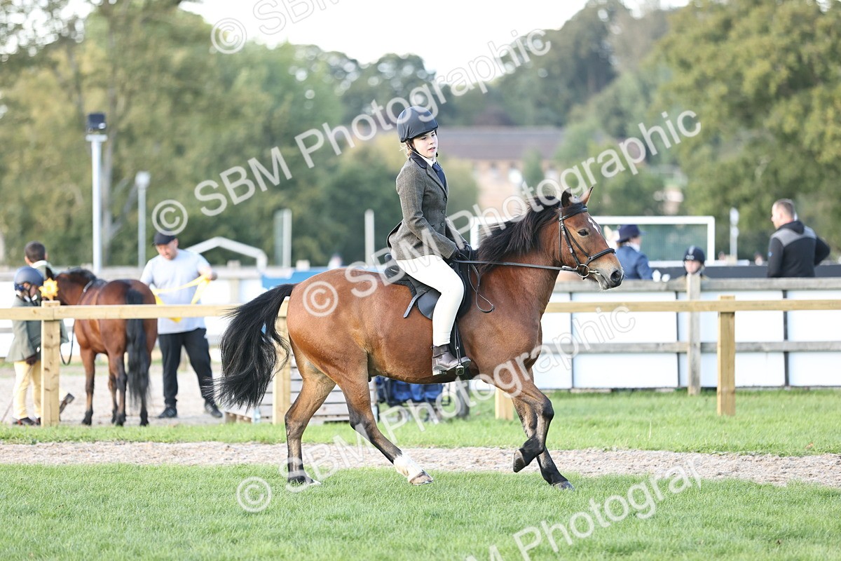 SBM_29564 - S7 - Novice & Newcomers Ridden Pony