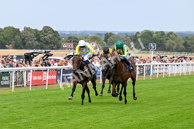 280726-Race 4-Vega King-0926 - Race 4 15.20pm 30 Years Of The Hurn Racing Club EBF Novice Stakes