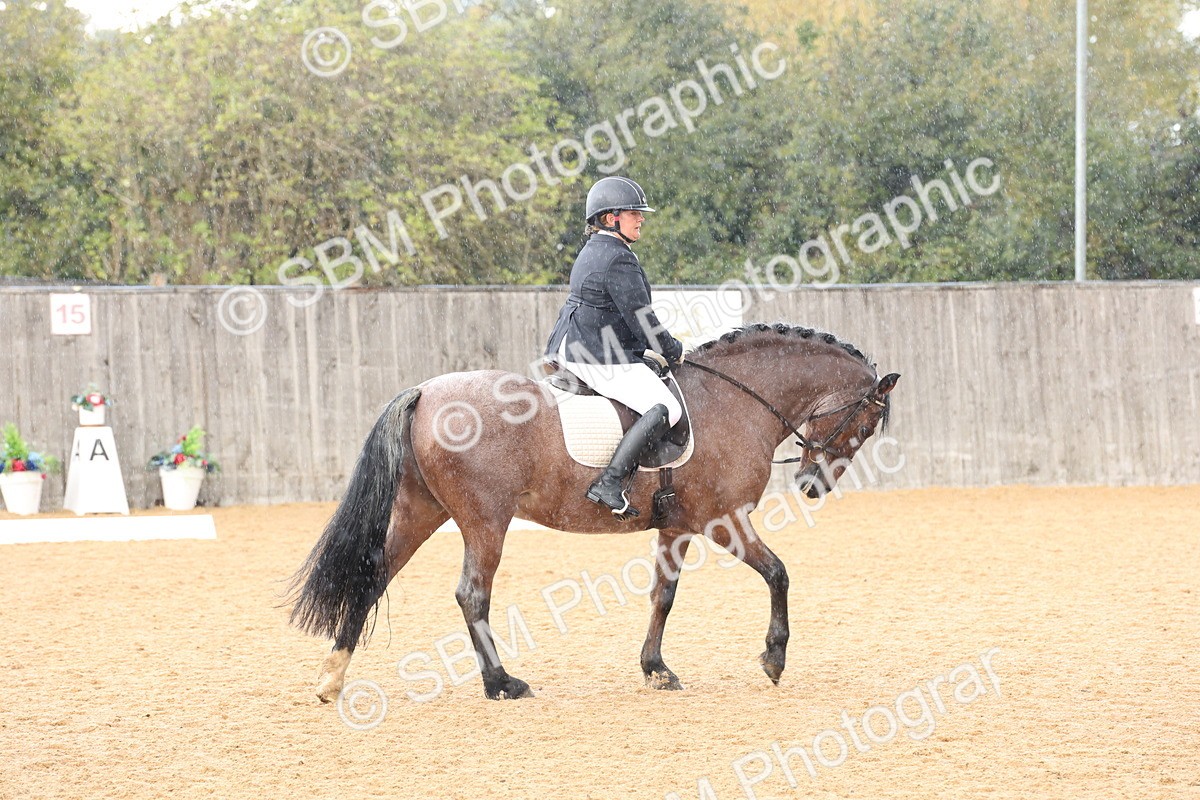 SBM_19565 - D10 - Small Tour Championship Prelim 2
