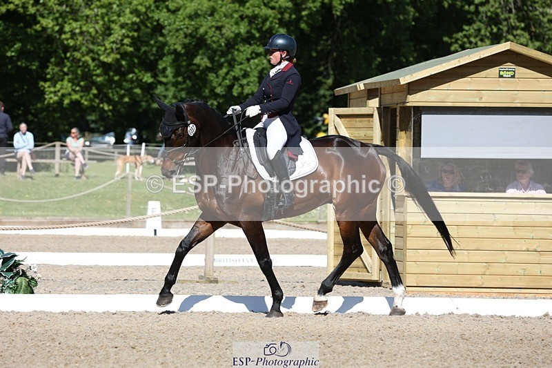 230526-094047-05132 - 357-VIVENDI_HERO-Saffron_Cresswell-WEDTrotUp+DR
