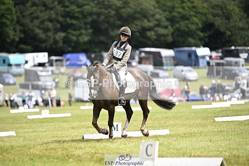 240824X-124718-26528 - D80 Section E and F 12.00 to 13.20