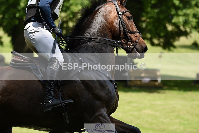 230528-134858-17604 - 457-FRIENDSHIP_VDL-Aaron_Millar-XC