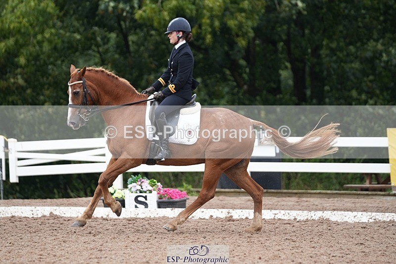 250907-154150-09610 - 122-India.JohnGrayswood.Orlando