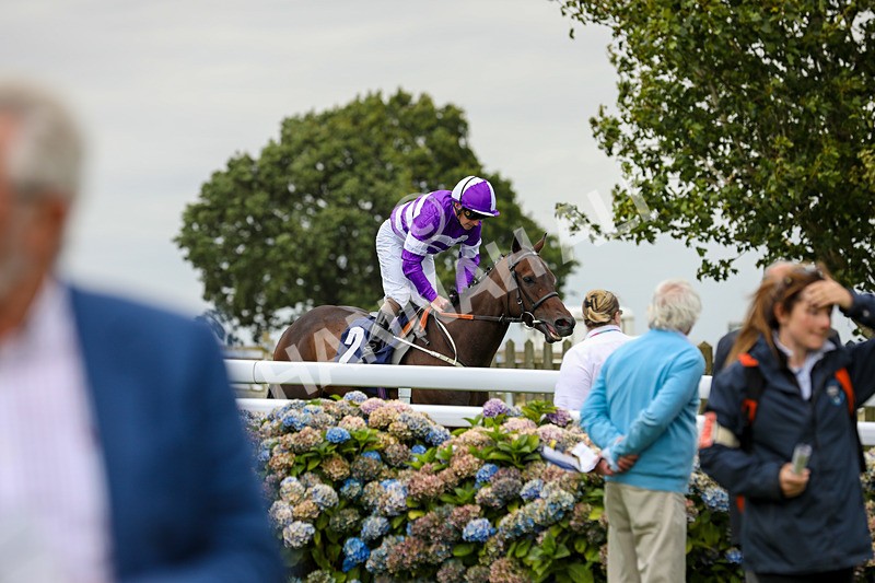 250824-Race 2-Ludos Landing-9323 - Race 2