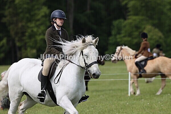 IMG_2705 - Working Hunter