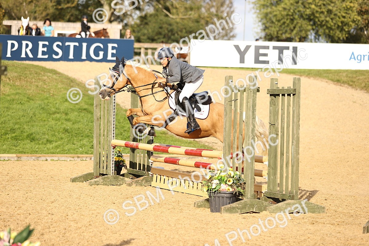 SBM_52981 - J10 - Junior Pony 75cm Championship