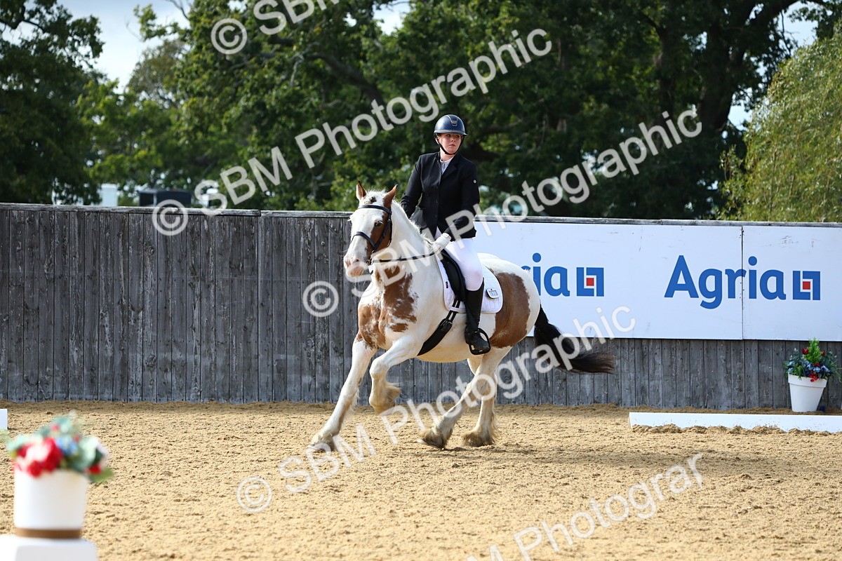SBM_26667 - D11 - Small Tour Championship Prelim 1