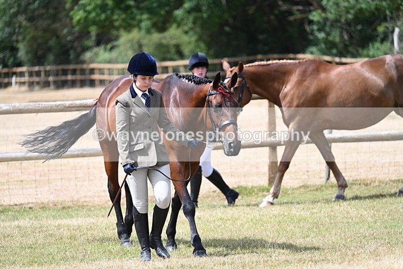 WJ7_1786 - Class 4a Prettiest Mare 14.2hh and over hand