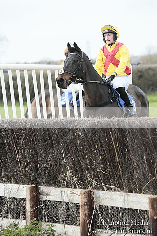 PtP 230319 211 - VWH Hunt Siddington Point-to-Point Racing 23/03/19