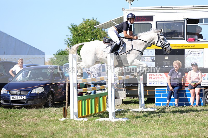 3E7A6395 - Class 13: Senior Newcomers/1.10m open