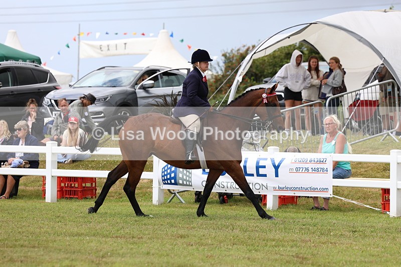 3E7A0888 - Class 8: Open Riding Horse/Hack