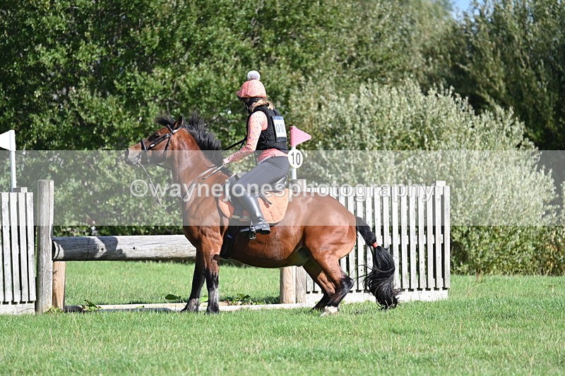 WJ7_1316 - Time 13:56 to 14:24