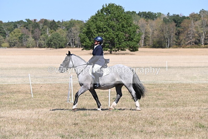 WJ6_8818 - Class 38 Ridden Riding Horse/Pony