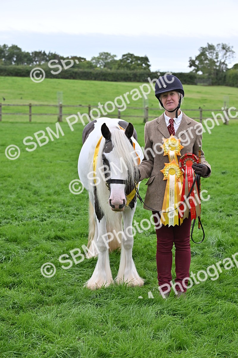 SBM_65057 - In Hand Pony & Younstock Supreme Championship