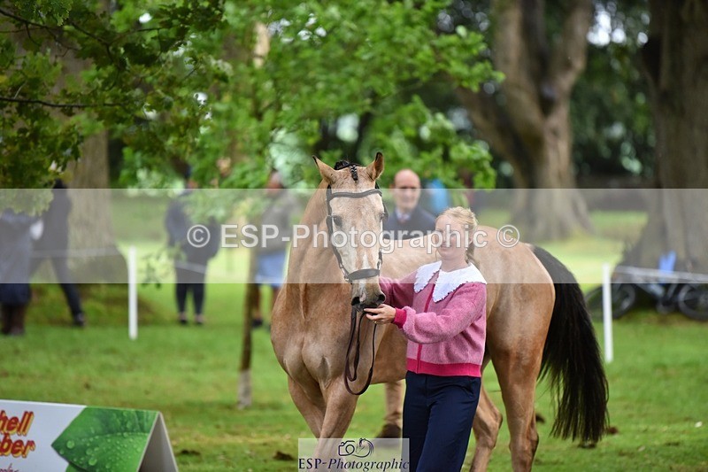 240522-155832-00612 - 109-MJM_BOBBY_DAZZLER-Rosie_Ringer