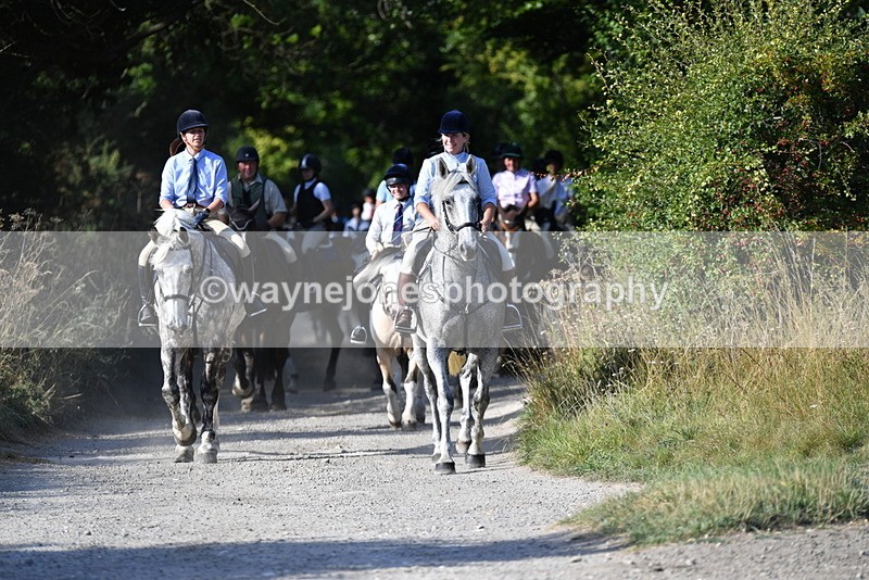 WJ5_4872 - Walk out with the hounds