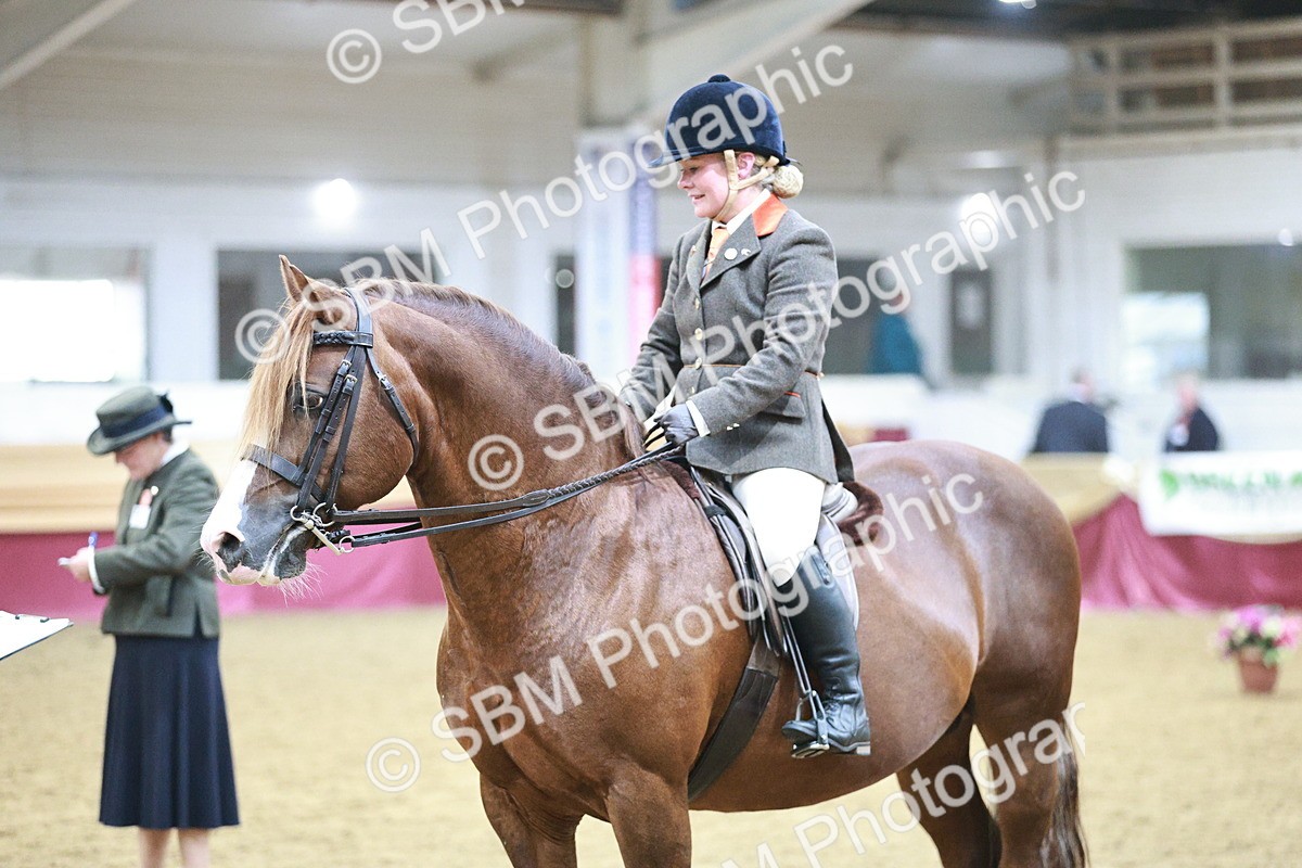 SBM_08920 - Class 12R - Regional Ridden Pre-Vet