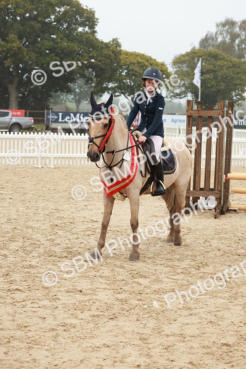SBM_73489 - Supreme Championship Junior Pony 60cm & 65cm
