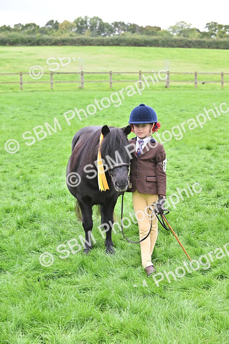 SBM_61057 - S48 - Mountain & Moorland In Hand Small Breeds