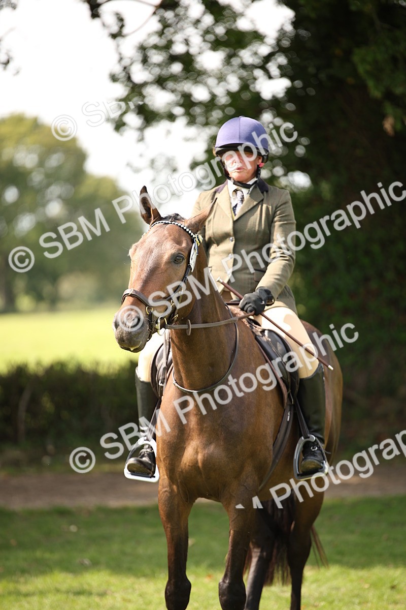 SBM_65973 - S64 - Riding Horse & Hack & Thoroughbred Ridden