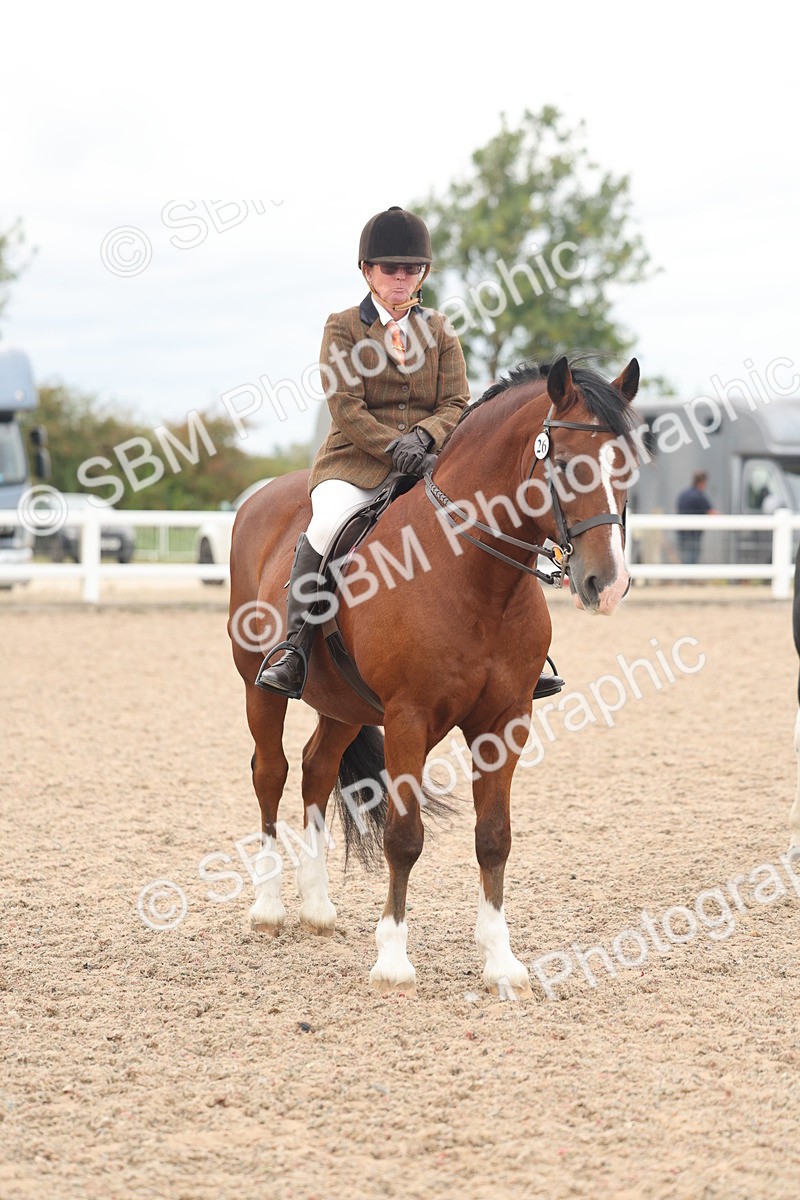 SBM_18169 - Class 315 - Best Horse-Rider Combination