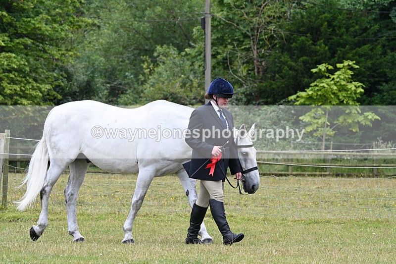 WJ7_7243 - Champs