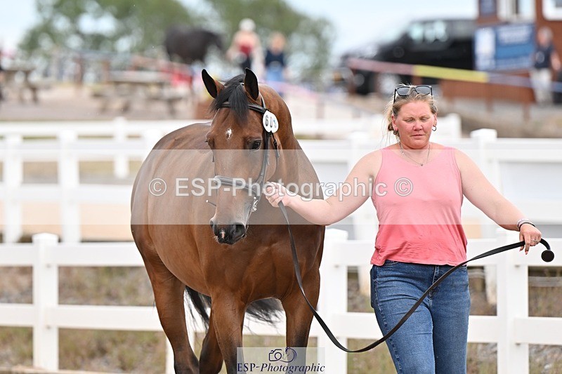 250716-160954-02472 - Trot Up 3.30 to 4.30