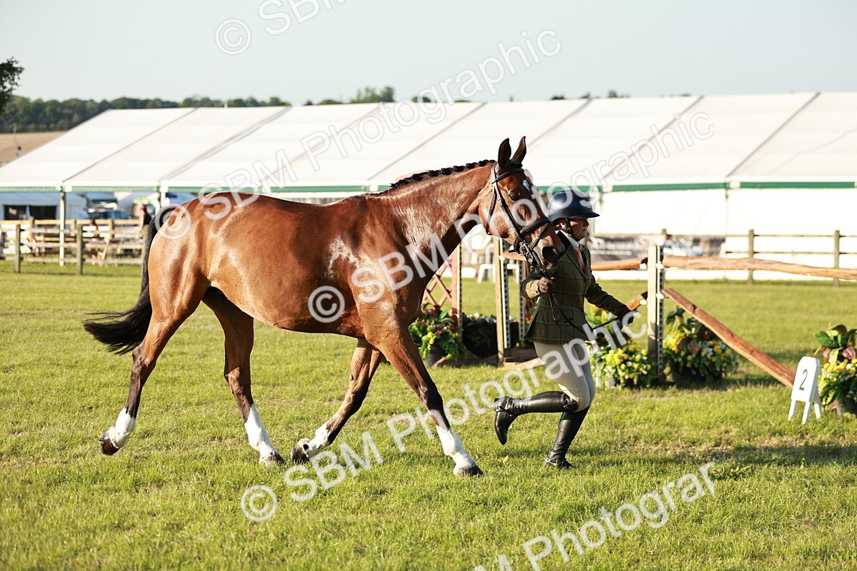 SBM_20545 - Class 117-119 - Sport Horse Working Hunter