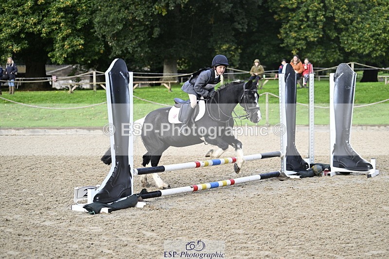 251005A-090331-02920 - Cls 02 GR 50cm