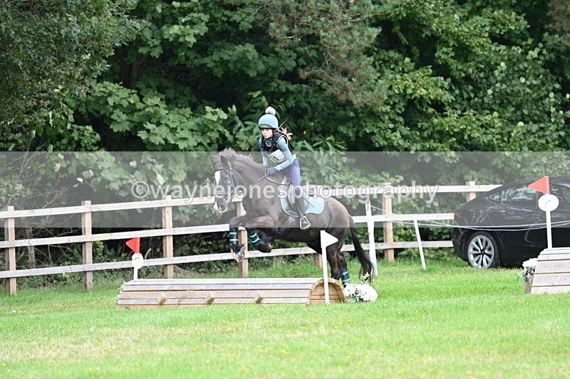 WJ7_7655 - 40cm Time 10:49 to 11:18