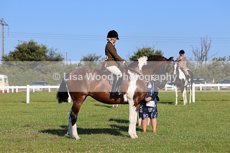 IMG_1273 - Class 27: Ridden Plaited Coloured Horse