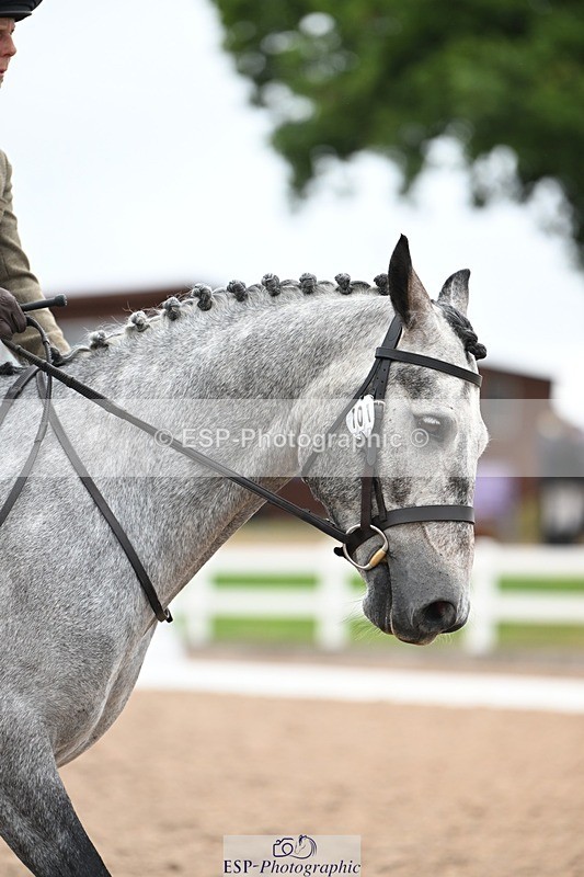 250705-114756-01792 - P2 Sections BDP2SNR, BDP2JNR 11.02 to 12.12